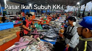 Kota Kinabalu PASAR IKAN AWAL PAGI Full Tour kasi puas hati gais✌️ [upl. by Airdnalahs]