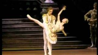 1983 Rudolf Nureyev amp Yoko Morishita Sleeping Beauty PDD Ballet [upl. by Maximilianus]