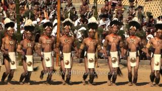 Traditional dance presented by the Khiamniungan Naga tribe [upl. by Tubb306]