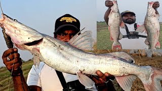 Big Sangara Tengara Fish Fishing Techniques  Wallago Attu Fishing  Ahtesham khan Fishing [upl. by Atiuqa]