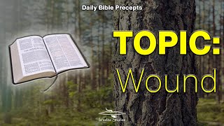 Daily Bible Precepts  Word Topic Wound [upl. by Sukey448]