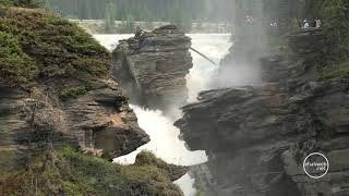 Athabasca Falls Jasper Ice Fields Parkway  Alberta  Canada [upl. by Faunie]