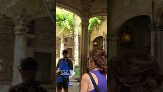 Barcelona Tour travel barcelonacity barcelonalife barcelonastreetwalk catalan [upl. by Osugi]