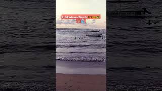 Hikkaduwa beach srilanka travel tourism natureandniko wildlife yalasafari mahainduruwa fish [upl. by Assetan]