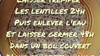 Falafel aux lentilles germées [upl. by Haydon]