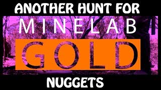 GOLD NUGGET DETECTING USING MINELAB GPX 4500 COILTEK ELITE IN VICTORIA AUSTRALIA [upl. by Eednahs]