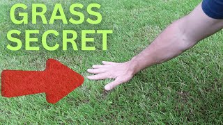 How to Grow Grass in Large Areas with an Erosion Control Blanket [upl. by Sutsugua]