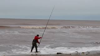 SEA FISHING FROM ALBOROUGH WITH SEA ANGLING ADVENTURES  EOBC  SEA FISHING UK [upl. by Iron]