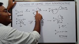 Synthesis of Oximes from Aldehydes and Ketones [upl. by Laet]