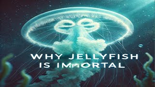 WHY JELLY FISH IS IMMORTAL [upl. by Sanoj]