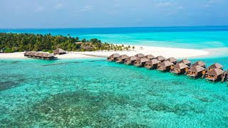 Maldives Meeru Island  DJI Drone Diving amp Snorkling [upl. by Oznofla119]