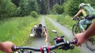 DOGTrekkingtour Westerwald 2015 Video  Unterwegs mit Zeltgepäck [upl. by Auqinot22]