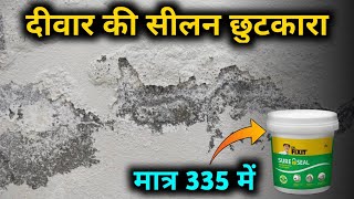 How To Repair damp wall Easily  Damp wall treatment  wall damp solution wall waterproofing [upl. by Perl802]