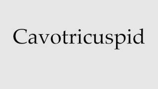 How to Pronounce Cavotricuspid [upl. by Mattson382]