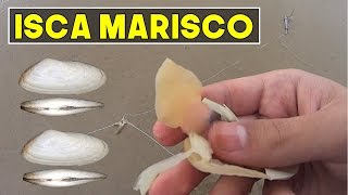 Como Capturar e Iscar Marisco  Iscas Pesca de Praia 01 [upl. by Service964]