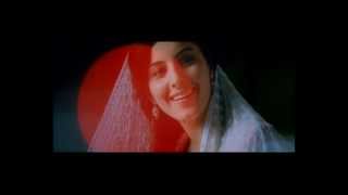 quotPonmuraliyoothumquot Malayalam Film Song  Aryan [upl. by Elmore]