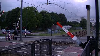 Spoorwegovergang DriebergenZeist  Dutch railroad crossing [upl. by Etennaej]