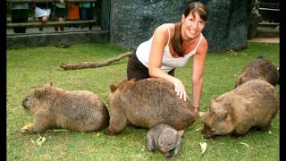 Wombats Are Awesome Wait Whats a Wombat [upl. by Broome]