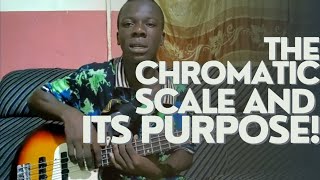 Chromaticism and its usefulness [upl. by Lallage]