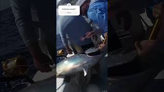 Large Yellowfin Tuna caught on live small Blackfin Tuna curacao drone fishing superyacht [upl. by Ecyoj]