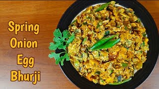 Spring Onion Egg Bhurji  Egg Bhurji with Spring onions [upl. by Coniah155]