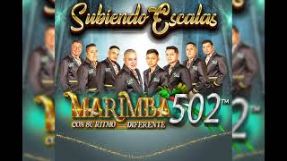 MARIMBA 502 RECUÉRDAME BONITO Nuevo 2024 [upl. by Bor]