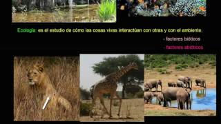 Introducción a la ecología  Ecología  Biología  Khan Academy en Español [upl. by Amees824]