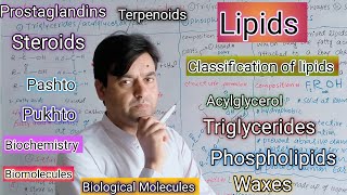 Lipids  Classification  Acylglycerol  Triglycerides  Phospholipids  Waxes  Steroids PG [upl. by Ayoj]