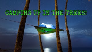 Tentsile Stingray Our First Tree Tent Camping Experience [upl. by Haikezeh316]