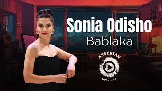 Sonia Odisho  Bablaka Assyrian Live Songs Chicago 2024 [upl. by Zailer224]