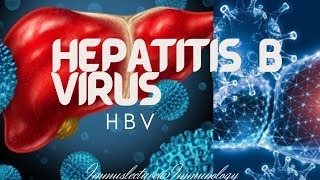 Hepatitis B virus HBV [upl. by Airasor]