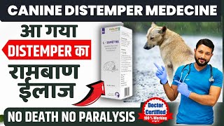 Canine Distemper Treatment At Home In Dogs  Symptoms  Recovery  Dog Distemper Treatment In Hindi [upl. by Norehc]