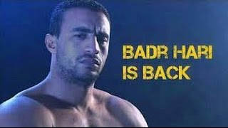 Badr Hari vs Brock Lesnar  Surprising Submission Victory [upl. by Jalbert]