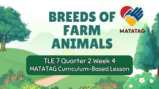 TLE 7 Quarter 2 Week 4  Breeds of Farm Animals MATATAG CurriculumBased Lesson [upl. by Emelen]