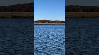 60 seconds of peace in Barnstable Harbor [upl. by Servetnick246]