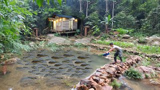 Full Video Build houses fish ponds gardens alone build life last for hundreds years in forest [upl. by Marchese]