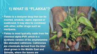 WHAT YOU NEED TO KNOW ABOUT FLAKKA A Deadly Designer Drug [upl. by Maurey247]