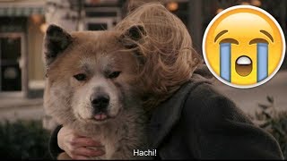 TOP 5 PELÍCULAS MAS TRISTES SOBRE LOS PERRITOS este vídeo te hará llorar [upl. by Madian]