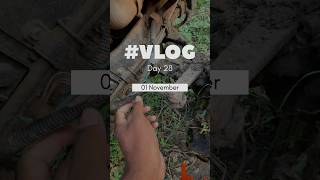 100 days 100 vlogs day 29 newvlog vlog mrathivlogs minivlog villagelife गांव शेती [upl. by Amled]