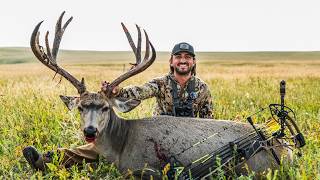 SPOT AND STALK ALBERTA MULE DEER WITH THE NEW MATHEWS [upl. by Riggall180]