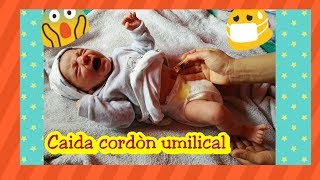 Cordon umbilical bebéCuando se caeComo limpiarlomami de 6familia numerosa [upl. by Htezil596]