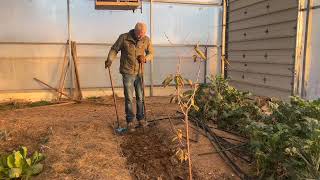 Soil Preparation with a Broadfork [upl. by Ifill]