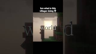 Minecraft Villager Moment [upl. by Garrek]