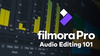 Audio Editing 101 How to Edit Detach amp Layer Sound  FilmoraPro Tutorial [upl. by Bates]