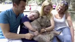 Shoalhaven Stories Meet Nick owner of the Shoalhaven Zoo Nowra South Coast NSW [upl. by Mott889]