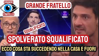 Grande Fratello Colpo di scena Squalificato Lorenzo Spolverato succede tutto nelle ultime ore [upl. by Aztin]