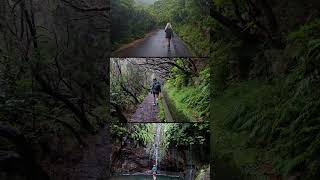 📍Madeira  25 Fontes Levada Walk travel hiking [upl. by Snoddy]