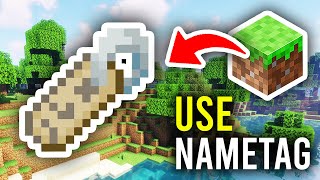 How To Use Name Tags In Minecraft Name Name Tags  Full Guide [upl. by Monk]