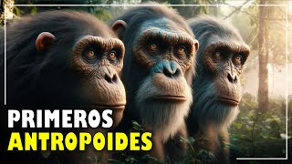 LOS PRIMEROS ANTROPOIDES Oreopithecus Dryopithecus y Ramapithecus⭐aulamedia Historia [upl. by Parette]