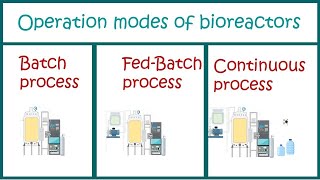 Lecture71 Large Scale Production of Biotechnological Products  Fermentation Systems in Urdu [upl. by Tiffani125]